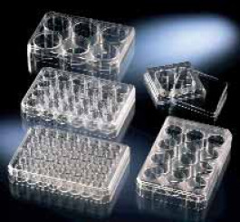 Microplaque, non traitée, en PS, stérile Nombrede puits 12 Volume detravail 2 ml