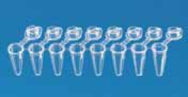 Barrette de 8 tubes PCR, en PP, avec bouchon plat attaché Volume 0,15 ml Type low profile Couleur transparent