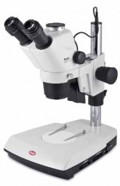 Stéréomicroscope haut de gamme avec zoom Greenough et éclairage LED, SMZ-171-BLED, binoculaire