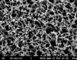 Membrane filtrante en nitrate de cellulose type NC Schleicher & Schuell Type NC 45 Porosité 0,45 µm Ø 142 mm