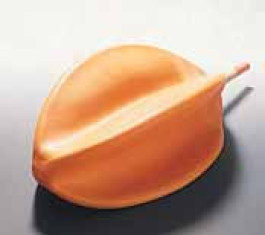 Poire caoutchouc pour évaporateur rotatif Type Poire caoutchouc pour évaporateur rotatif