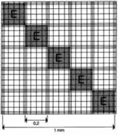 Cellule de numération selon Neubauer modifiée Type Cellule de numération selon Neubauer améliorée