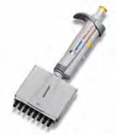 Pipette multicanaux Eppendorf Research Plus Volume 30 - 300 µl Type 12- canaux Bouton poussoir orange Couleur