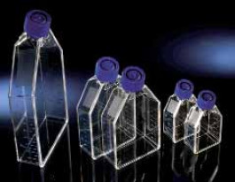 Flacons de culture cellulaire EasYFlask Surface Nunclon Surface de culture 25 cm² Fermeture ventilé Volume 7 ml