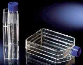 TripleFlasks Nunclon D Surface de culture 500 cm² Col droit Fermeture filtre Volume de travail 200 ml