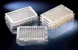 Plaque U96 MicroWell/ Immuno, en PS Surface Nunclon Couleur Transparent Stérile oui Description avec couvercle