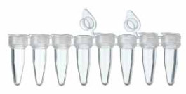 Barrette de 8 tubes PCR avec capuchons plats individuels attachés