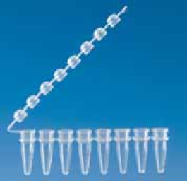 Barrette de 8 tubes PCR Type Incolore