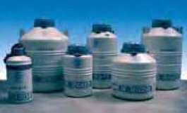 Cryoconservateur série B 2000 Type B 2002M Volume 2,00 l Nombre de tubes  2 ml Nombre 474 0,25cc Nombrejerrycans 3 Auton.statique 25 jours Dimensionjerrycans(Ø x H) mm 26x110