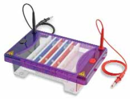 MultiSUB Choice Type MS15-18MC-1.5* Description Peigne 18 puits, 1,5 mm Volume d'échantillon 17 µl