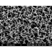 Membrane filtrante en nitrate de cellulose type AE