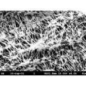 Membrane filtrante en PTFE type TE Schleicher & Schuell Type TE 37 Porosité 1,00 µm Ø 25 mm