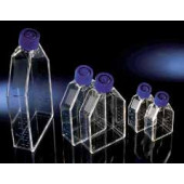 Flacons de culture cellulaire EasYFlask Surface Nunclon Surface de culture 25 cm² Fermeture filtrant Volume 7 ml