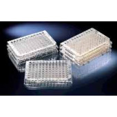 Plaque U96 MicroWell/ Immuno, en PS Surface Non traitée Couleur Transparent Stérile oui Description avec couvercle