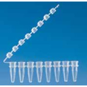Barrette de 8 tubes PCR Type Incolore