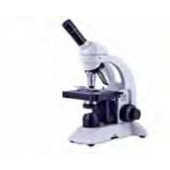 Microscope pour enseignement BA81 Type BA81B-MS Description Binoculaire