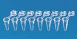 Barrette de 8 tubes PCR, en PP, avec bouchon plat individuel attaché