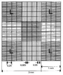 Cellule de numération selon Neubauer
