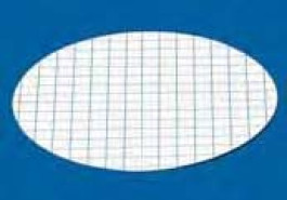 Membrane filtrante en nitrate de cellulose quadrillée vert Type 13906 Porosité 0,45 µm Ø 50 mm Description Standard