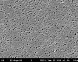 Membrane filtrante en polyamide type NL