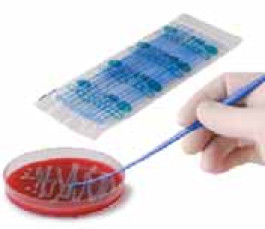 Anses d'inoculation - LLG, en PS, stériles