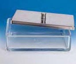 Boite en verre Couvercle sans Largeur 150 mm Longueur 220 mm Hauteur 55 mm