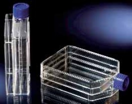 TripleFlasks Nunclon D Surface de culture 500 cm² Col droit Fermeture Event / fermeture Volume de travail 200 ml