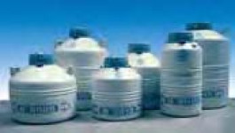 Cryoconservateurs grande capacité série B 2000