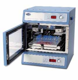 Incubateur à agitation SI500 Type SI505