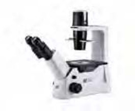 Microscope inversé pour culture cellulaire AE 2000