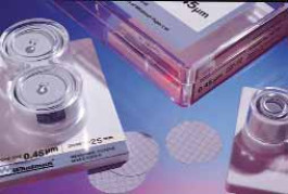 Membrane filtrante en esters mixtes de cellulose type WME Whatman Type Blanc quadrillé Porosité 0,45 µm Ø 47 mm