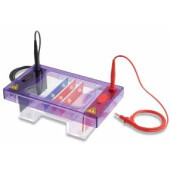 Cuve d'électrophorèse horizontale multiSUB Midi DUO