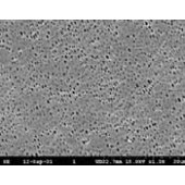 Membrane filtrante en polyamide type NL
