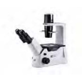 Microscope inversé pour culture cellulaire AE 2000