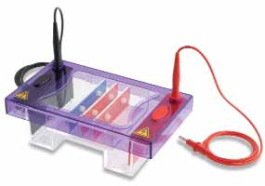 Cuve d'électrophorèse horizontale multiSUB Midi Type MS10-20MC-1* Description peigne 20 puits MC, 1 mm Volume d'échantillon 14 µl