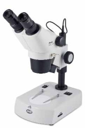Stéréomicroscope à zoom avec éclairage LED, série SMZ 161