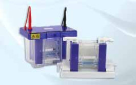 Pack cuve électrophorèse omniPAGE TETRAD Mini-Set     Type omniPAGE TETRAD Mini-Set