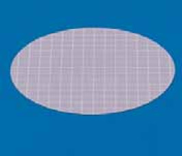 Membrane filtrante en nitrate de cellulose quadrillée noire Type 13006 Porosité 0,45 µm Ø 50 mm Description non stérile