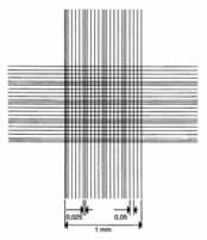 Cellule de numération selon Thoma Type Cellules de numération selon Thoma