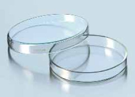 Boîte de Pétri,Steriplan®, en verre sodocalcique