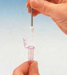 Micropilon, en PTFE, à tige en acier inox
