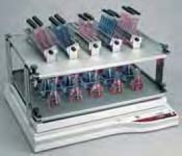 Agitateur orbital GFL 3019 et 3020 Type 3020**