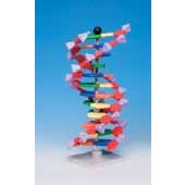 Modèle moléculaire miniADN ® / kits ARN