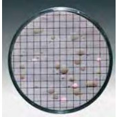 Membrane filtrante quadrillée avec milieux de culture