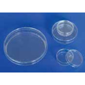 Boîte de Pétri, en PS