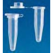 Microtubes avec couvercles attachés