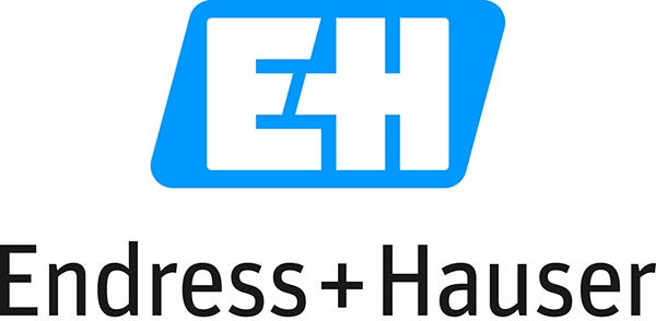 logo endress + hauser